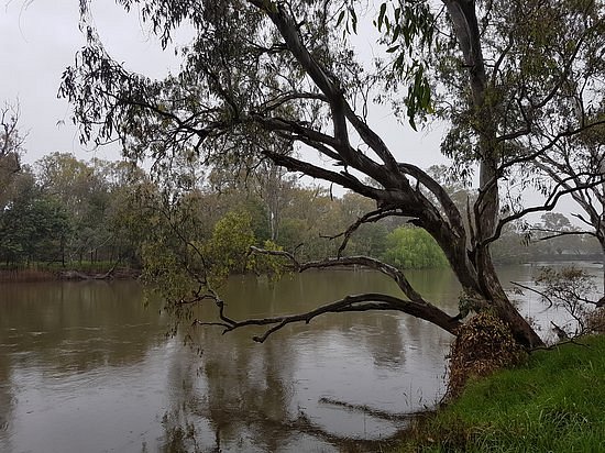Murray River Trail image