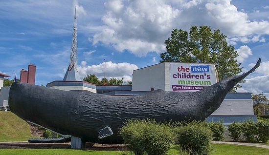 The Children's Museum image