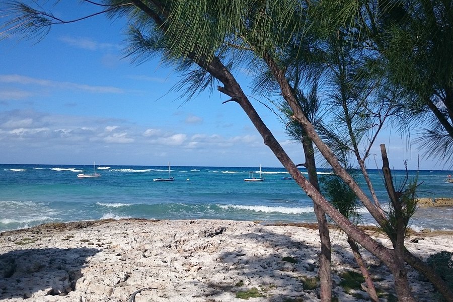Playa Caletones image