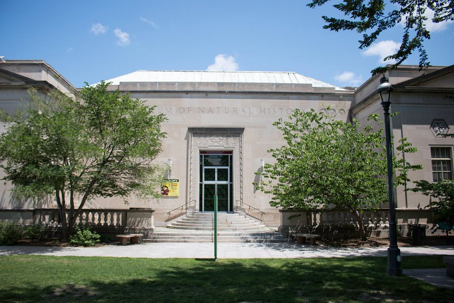Springfield Museums image