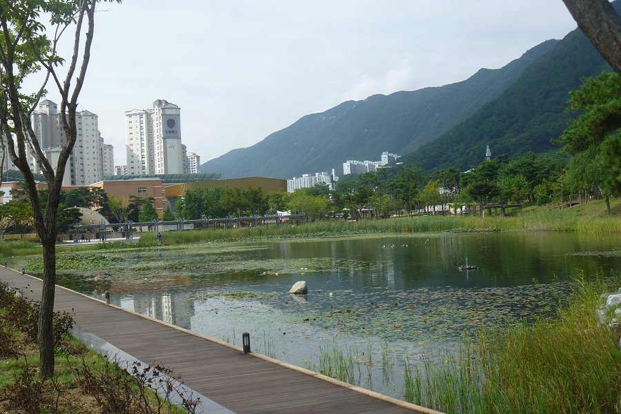 Yangsan Water Park image