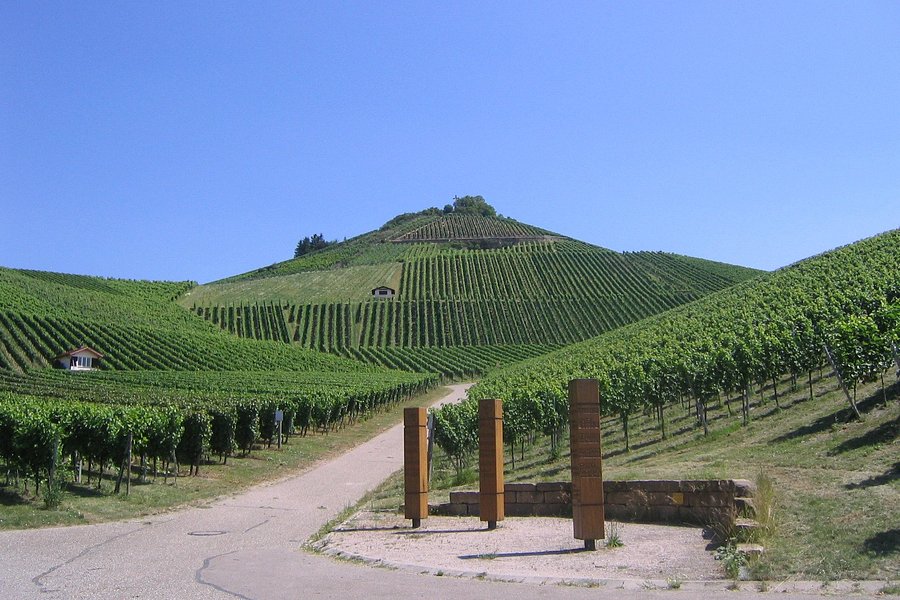 Holzapfel Winery image