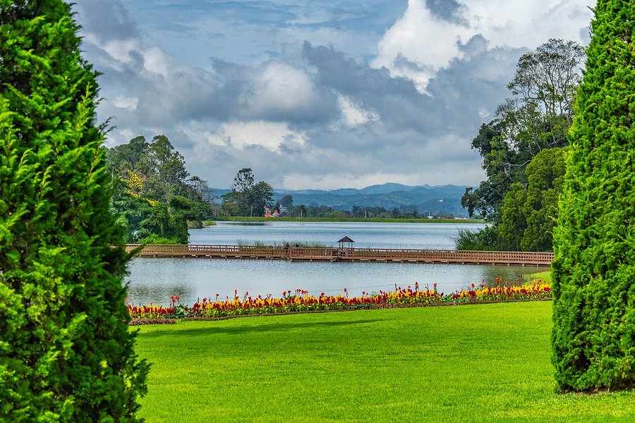 National Kandawgyi Botanical Gardens image