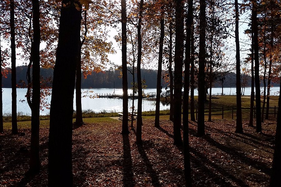 Lake Reidsville Recreation Park image