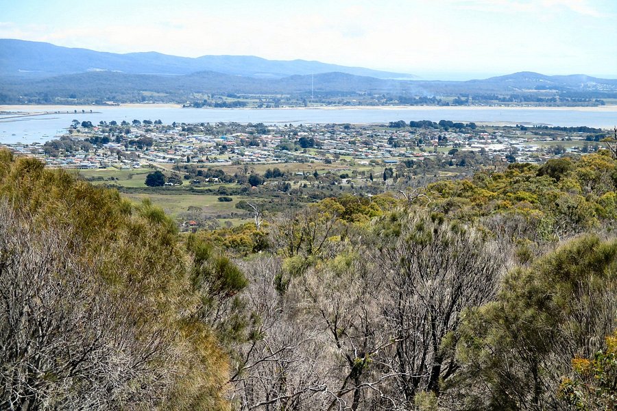 Mt George Lookout image