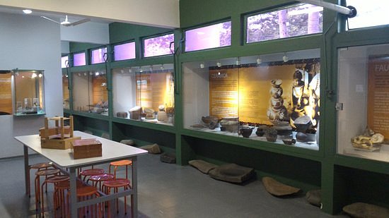 Museu Arqueológico de Sambaqui image