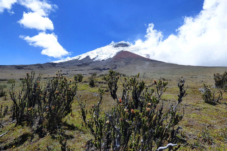 Things to Do in Cotopaxi Province image