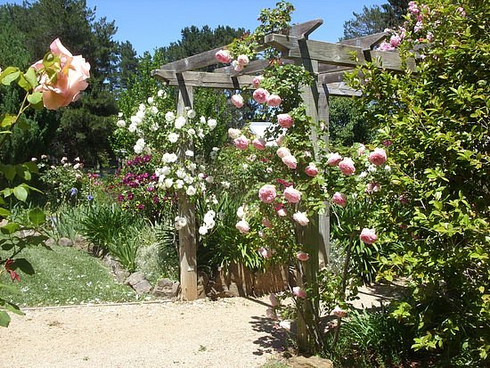 The Scented Rose Garden & Teahouse image