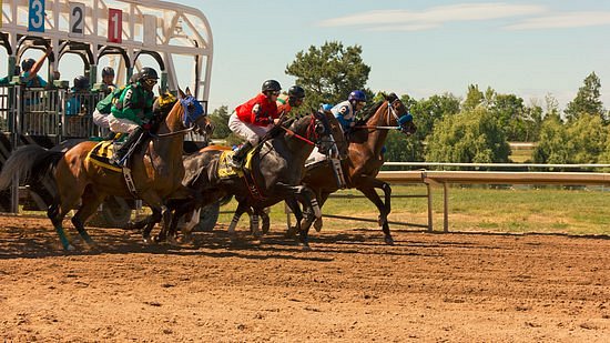 Fort Erie Race Track image