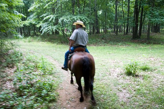 Horseback Riding Trail RIdes image