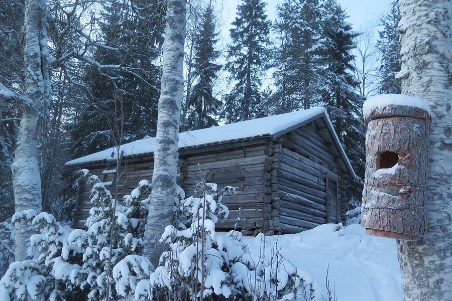 Forestry Museum of Lapland image
