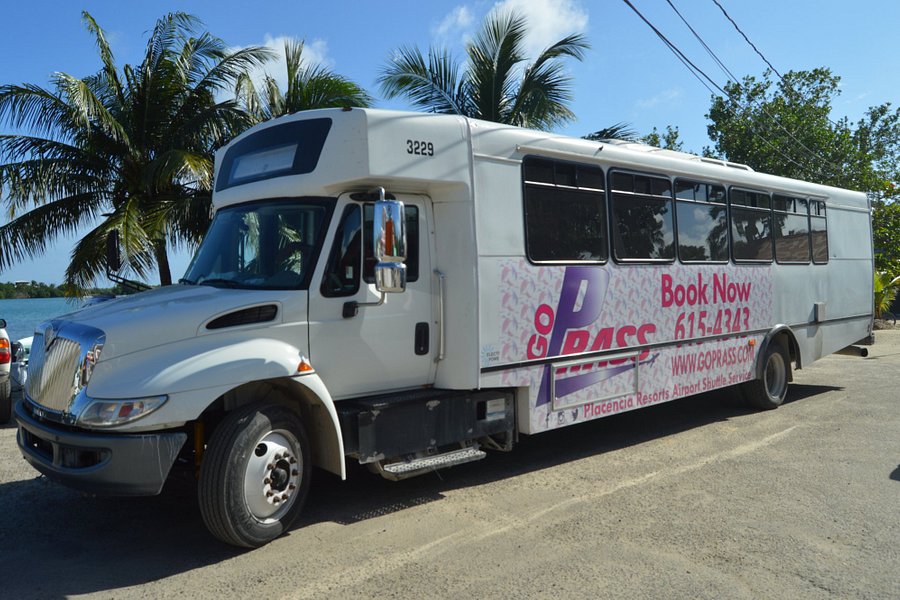 Placencia Resorts Airport Shuttle Service (GoPRASS) image