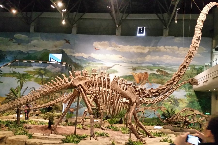Zigong Dinosaur Museum image