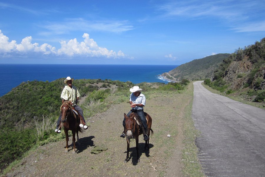 Cuba Horseback Rides image