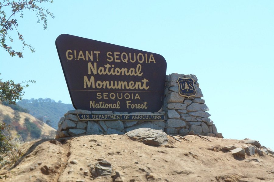 Giant Sequoia National Monument image