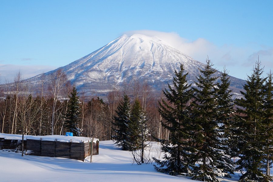 Niseko Annupuri International Ski Area image