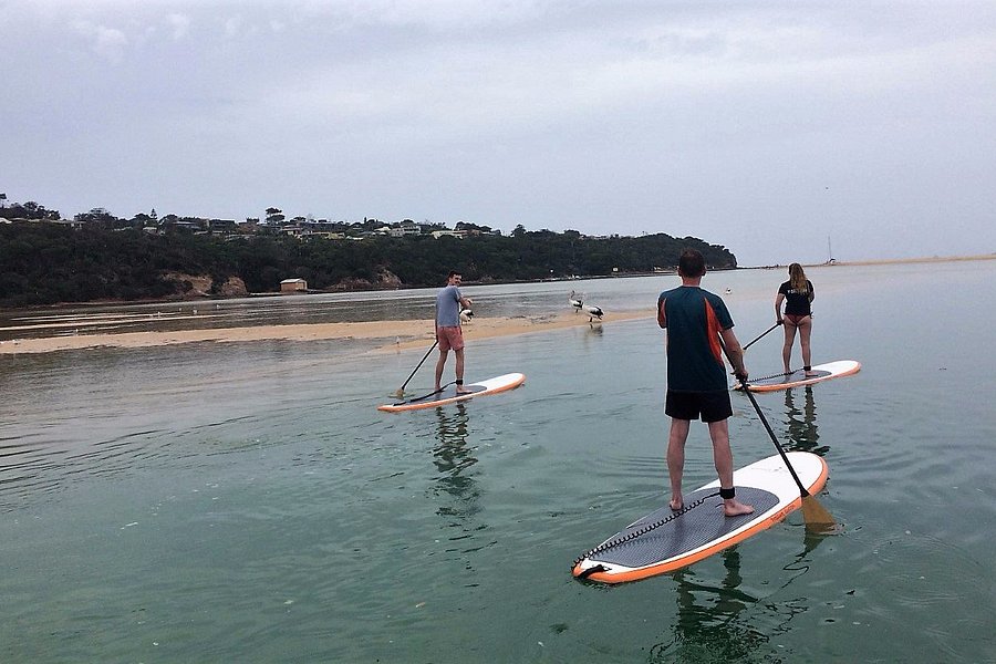 Merimbula Stand Up Paddle Lessons and Tours image