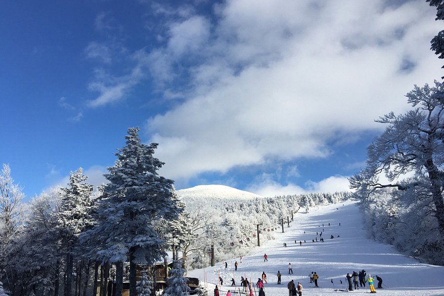 Yamagata Zao Onsen Ski Resort image