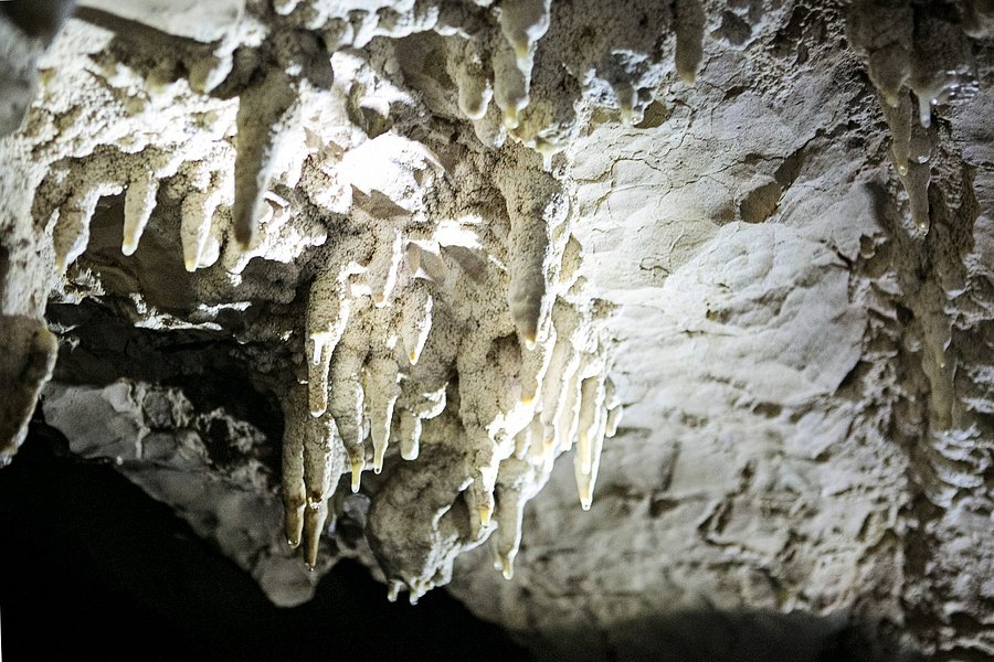 Cuevas del Pomier image