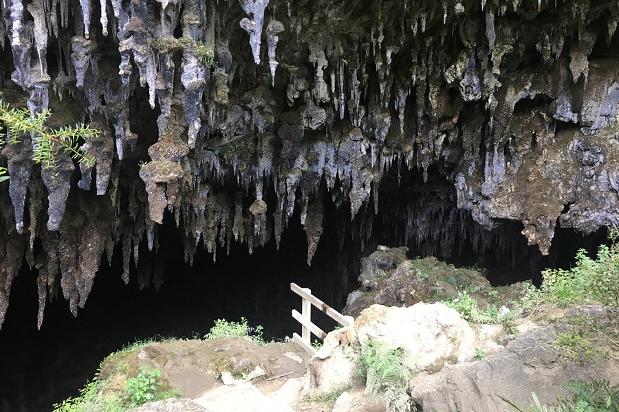 Rawhiti Cave Track image