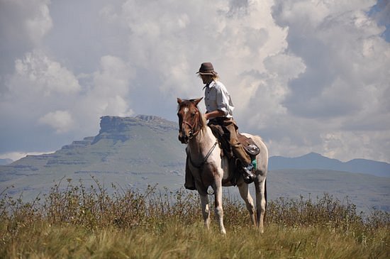 Khotso Horse Trails image