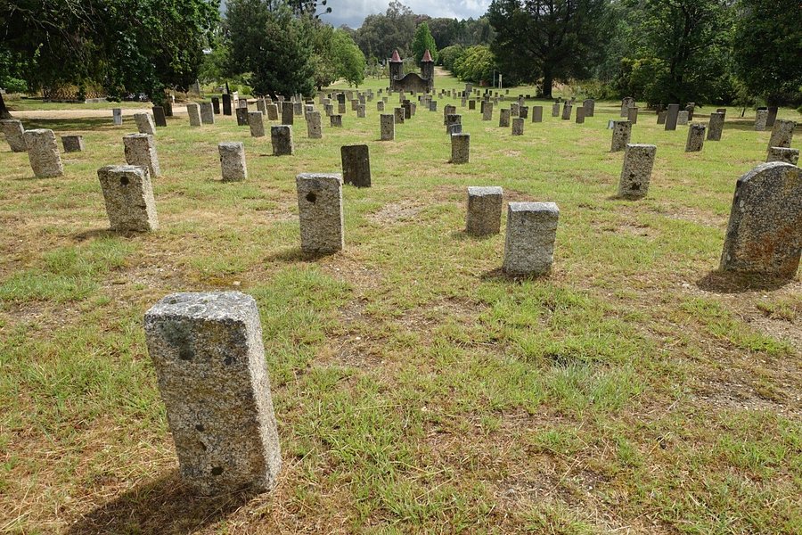 Beechworth Public Cemetery image