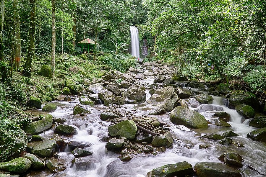 Mahua Waterfall image