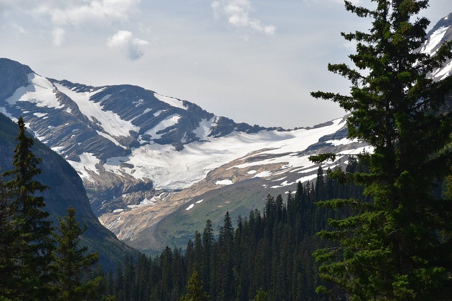 Jackson Glacier Overlook image