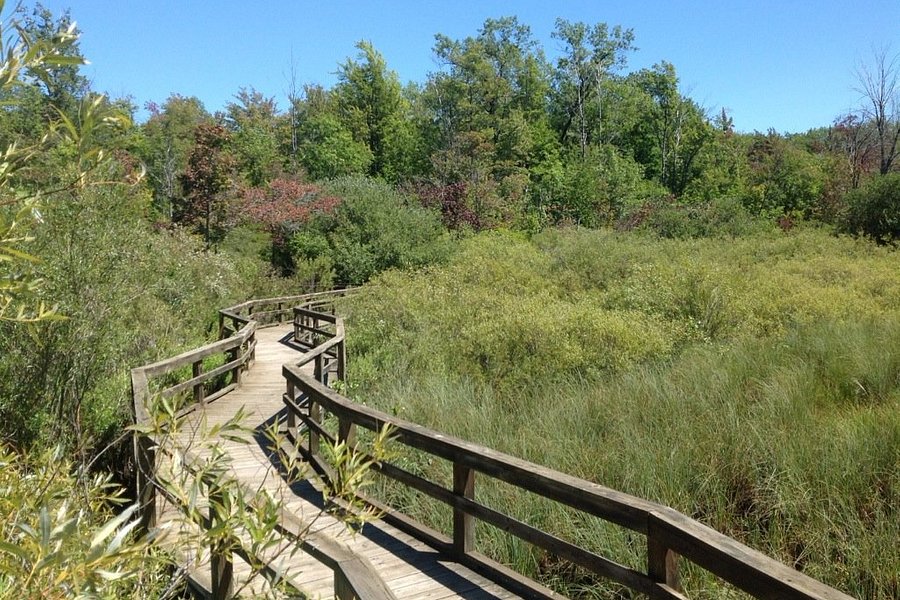 The Huron County Nature Center & Wilderness Arboretum image