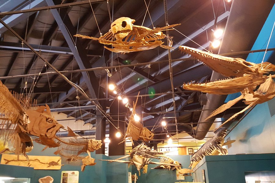 Rocky Mountain Dinosaur Resource Center image