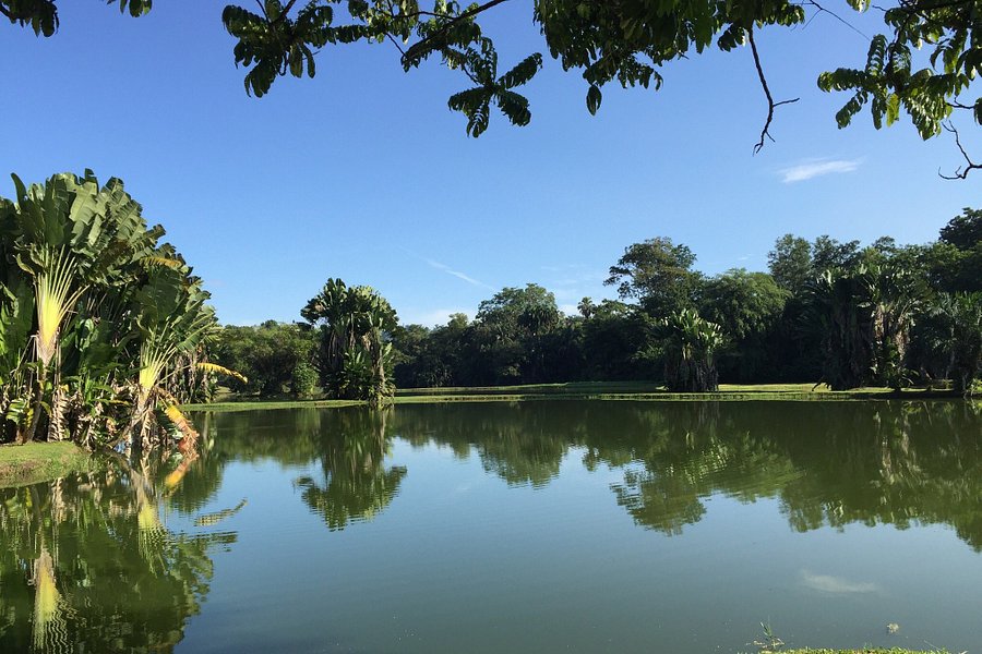 Taiping Lake Gardens image