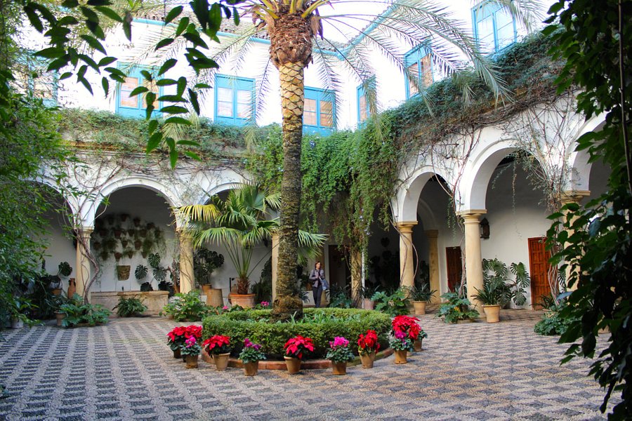 Palacio de Viana image