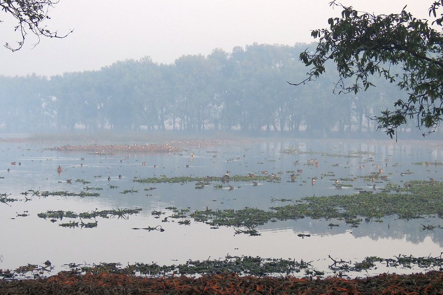 Surajpur Bird Sanctuary image