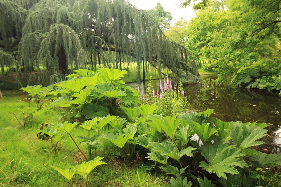 Arboretum de la Vallée-aux-Loups image