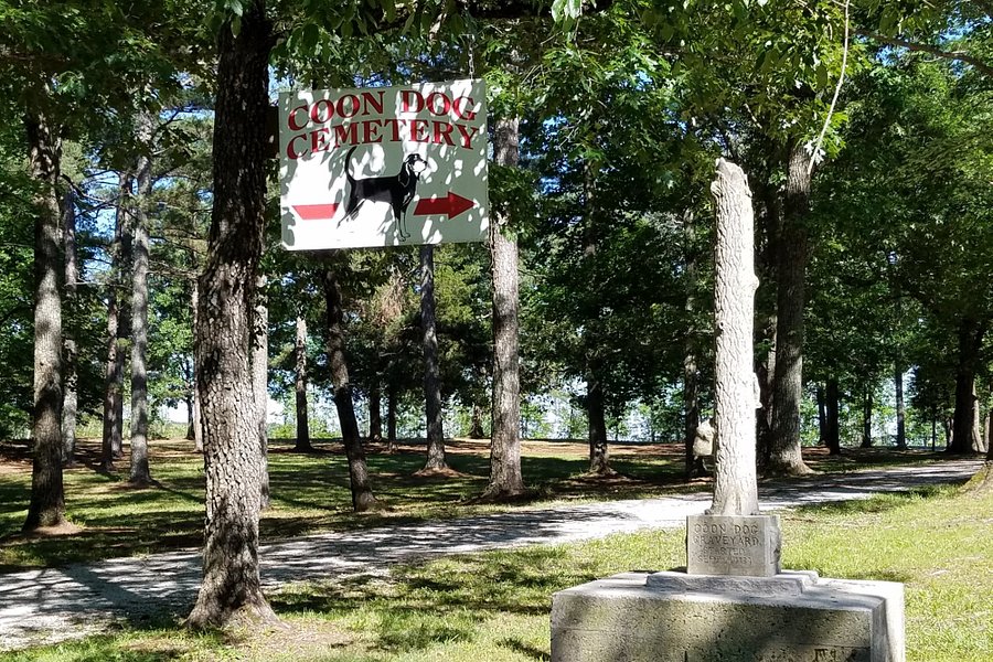 Key Underwood Coon Dog Memorial Graveyard image