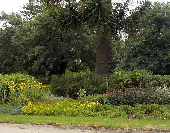 Benalla Botanic Gardens image