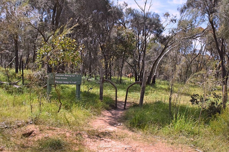 Spring Gully Conservation Park image