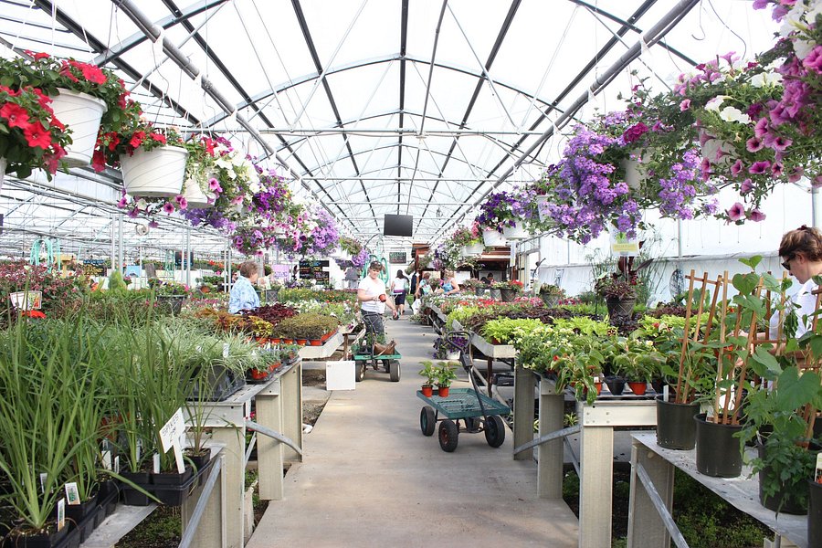 Showalter Orchard & Greenhouse image