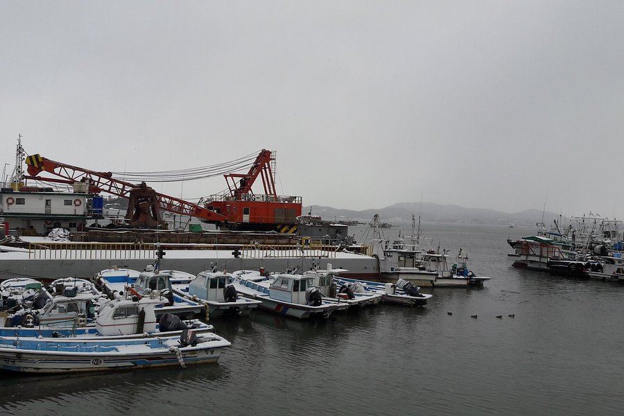 Jinpo Maritime Theme Park image