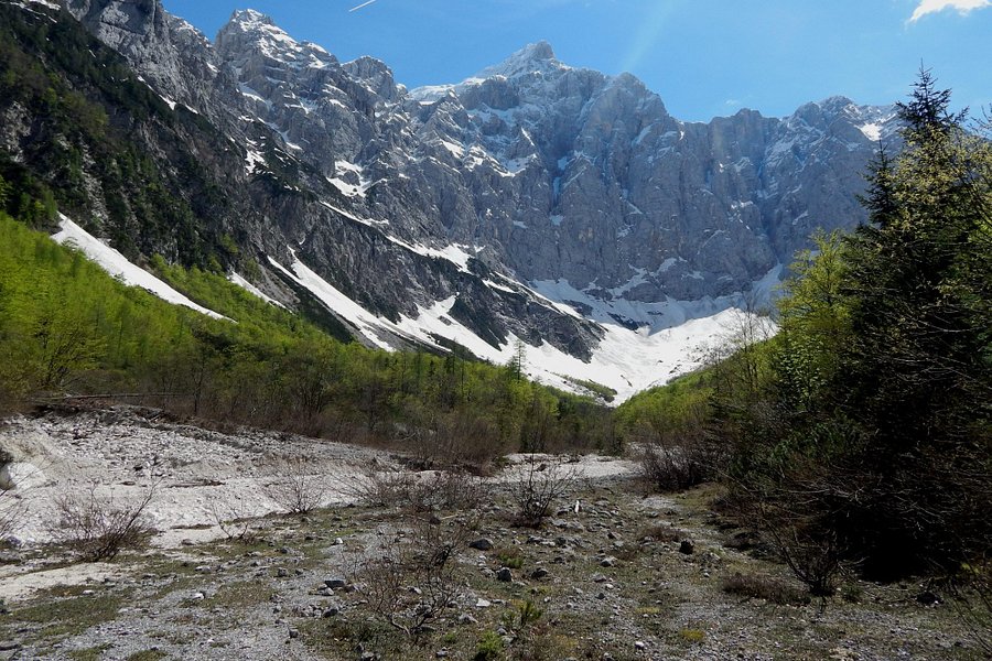 The North face of Triglav image