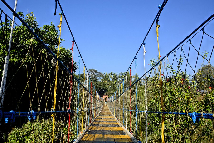 Hanging Bridge image