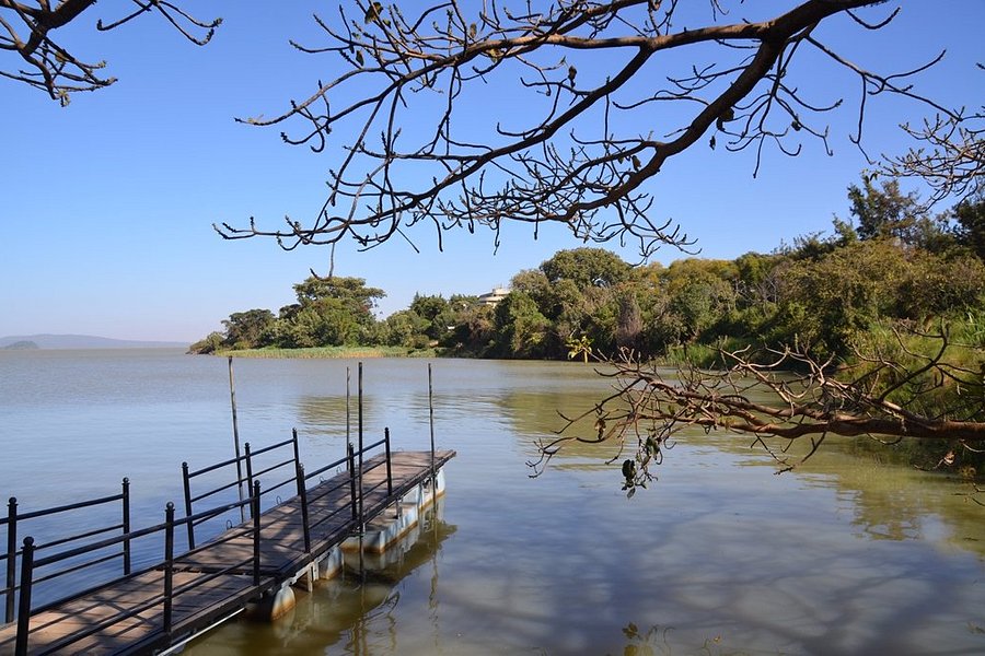 Lake Tana image