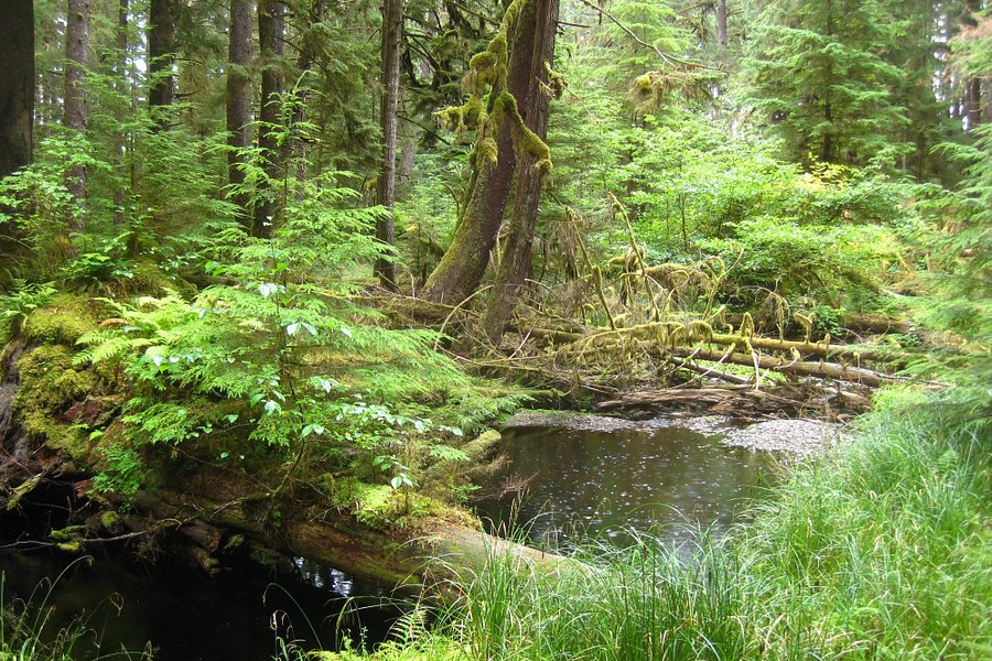 Naikoon Provincial Park image