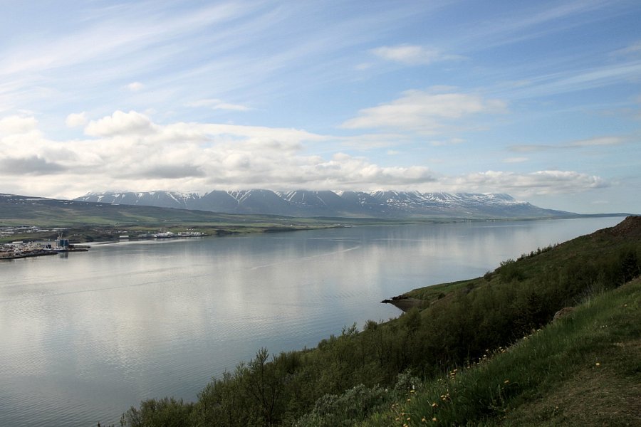 Estuary of the river Eyjafjardará image