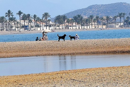 Playa de Las Moreras image