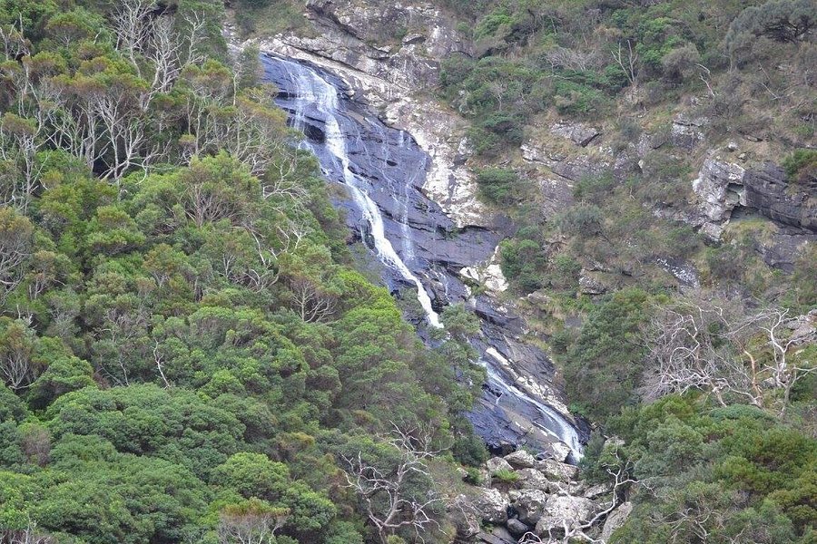 Carisbrook Waterfall image