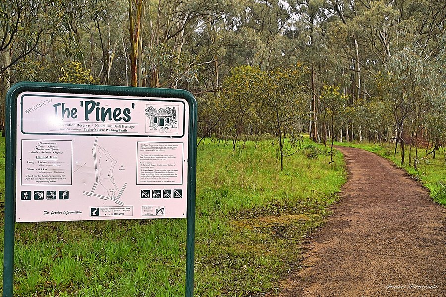 Pines Conservation Reserve image