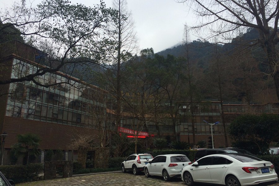 Forest Hot Spring Tourism Area image