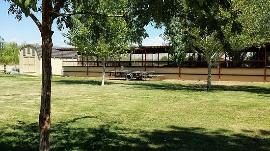 Rancho Los Potrillos image