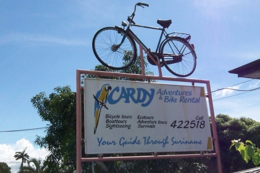 Cardy Adventures & Bike Rental image